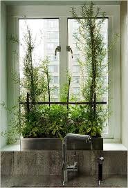 kitchen herb planter flickr photo