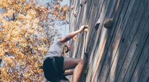 Climbing Wall In Your Garden Diy