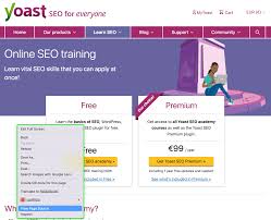 page source of your site yoast