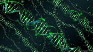 Not just dna wallpapers high resolution : Dna Wallpapers Top Free Dna Backgrounds Wallpaperaccess
