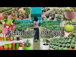 Visiting Rainbow Nursery In Nagercoil