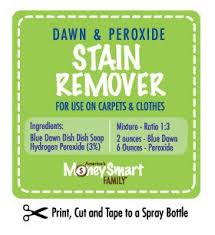 diy carpet cleaner solution with dawn