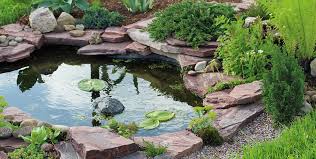 Winter Pond Maintenance Tips Get Your
