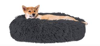 We have large dog beds, small dog beds, waterproof dog beds, washable dog beds—every kind of dog bed you might be looking for. Best Dog Beds For 2020 That Your Pooch Will Love Snuggling Down On Mirror Online