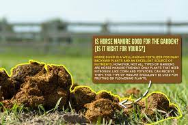 is horse manure good for the garden