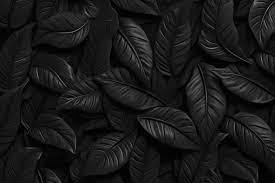 4k wallpaper black images free