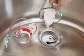 how to clean a garbage disposal home