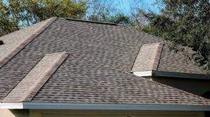 roofing contractors tampa arry s roofing