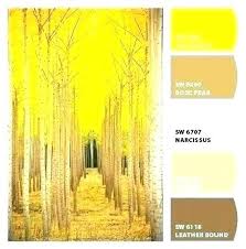 Behr Yellow Paint Colors Paintingcanvas Info