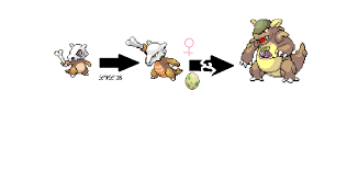 Images Of Cubone Evolution Www Industrious Info