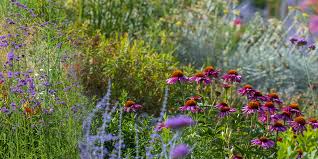 This perennials will attract butterflies and other pollinators to your garden. A Complete Crash Course In Demystifying Gardening Zones Salisbury Greenhouse