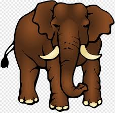 gajah asia gajah afrika buku mewarnai