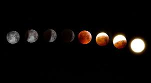 solar and lunar eclipses of 2020 don t