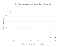 Dna Fingerprinting Distance Vs Base Pair Length Scatter