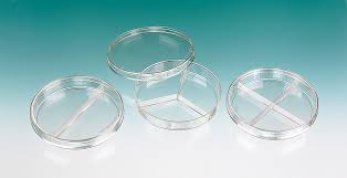 Petri Dish Disposable 3 Partitions Pkg Of 25