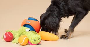 19 Best Dog Toys In 2023 According To