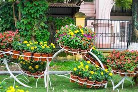 Urban Gardening Ideas For Beginners