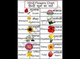 Hindi Flowers Chart Youtube