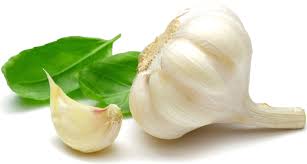Get the Best Organic Garlic Powder Here – Z Natural Foods