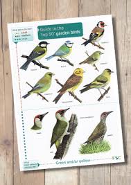 Top 50 Garden Birds Laminated Id Chart Steven Cheshires