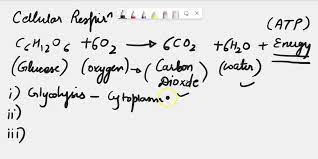 Simplified Chemical Equation