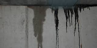 Water Leak In Your Basement