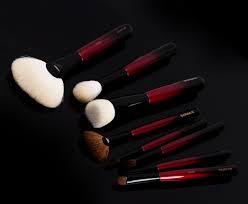 sonia g makeup brushes impressions