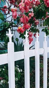 White Background Picket Fence Stock