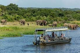 Big Five Safaris in Uganda | Uganda big five safaris | Uganda big five trips