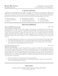 Auditor Resume Accounting Sample Resume External Auditor Job