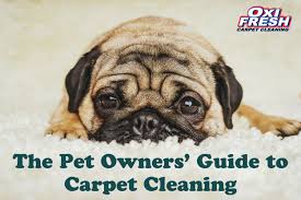 pet owners guide to carpet cleaning