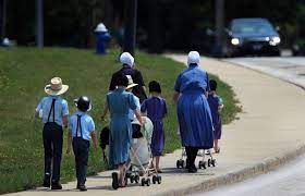 amish settlements in ohio north
