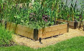 How To Maintain A Raised Garden Bed