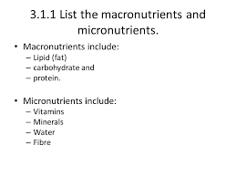 Other important micronutrients include minerals like calcium, iron, and zinc. Energy Systems Nutrition Ppt Download