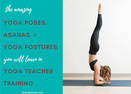 the amazing yoga poses asanas