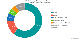 University Of Michigan Ann Arbor Diversity Racial