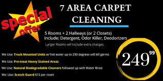 home bliss carpet cleaning service