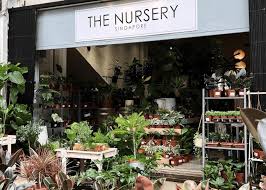 Plant Nurseries And S In Singapore