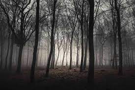 the world s most haunted forests