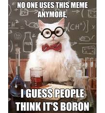 Science cat is (still) funny! | Le Café Witteveen via Relatably.com