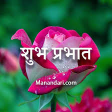 good morning hindi wishes with roses