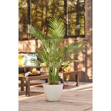 Roth Artificial Plastic Palm Tree
