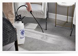 carpet cleaning in everett washington