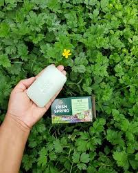 10 Amazing Irish Spring Soap Uses In Garden
