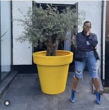 100cm Big Plant Pots Yellow Extra Large