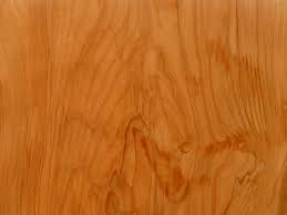 beech natural live edge wood slabs for