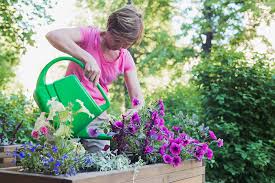 Container Gardening Ideas You Ll Love