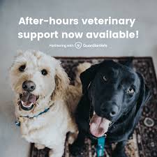 Pet food express offers delivery to most zip codes surrounding our store locations. Veterinarians And Animal Hospital In Branson Mo Shepherd Of The Hills Veterinary Clinic