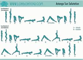 Sun Salutation Flow Chart Fitness Health Yoga Sun