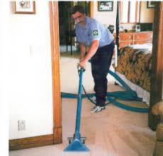 carpet upholstery cleaning mister